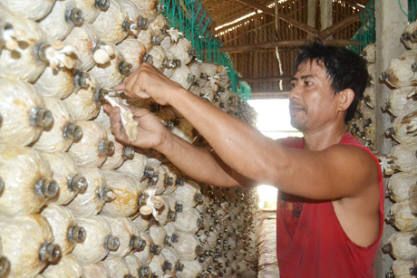 Nhờ chương trình tín dụng chính sách góp phần hình thành các mô hình kinh tế trong sản xuất nông nghiệp. 