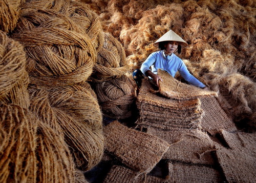  Xơ dừa xuất khẩu - HCB PAM - Tác giả Trần Phong 