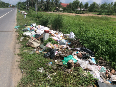 Dọc Quốc lộ 50.