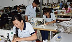 Tiền Giang: Nhiều 