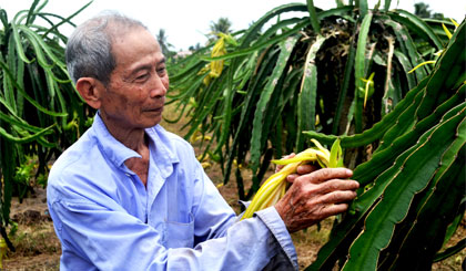 Nhờ phong trào nông dân SX-KD giỏi mà nhiều nông dân vươn lên làm giàu.