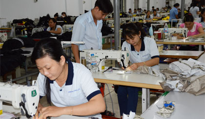 Ảnh minh họa. Ảnh: Vân Anh