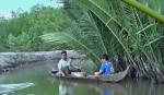 Nhớ canh cá ngát miền Tây