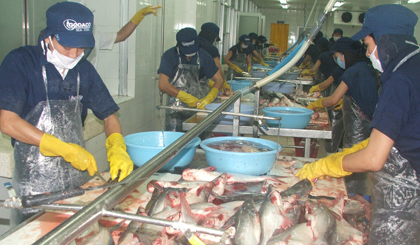 Thủy sản XK đang lấy lại đà hồi phục.