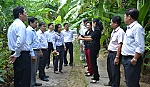 Sử dụng đất công, còn đó nhiều vấn đề