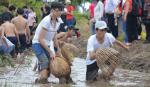 Tiền Giang: Top những điểm đến cho du khách