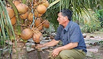 Đảng bộ xã Song Bình: Điểm sáng trong lãnh đạo phát triển kinh tế-xã hội