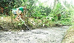 Gây ô nhiễm môi trường, xử phạt nhiều lần vẫn tái phạm