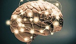 Phát hiện mới của các nhà khoa học Mỹ trong điều trị bệnh Parkinson