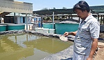Nhiều chính sách tín dụng phục vụ 