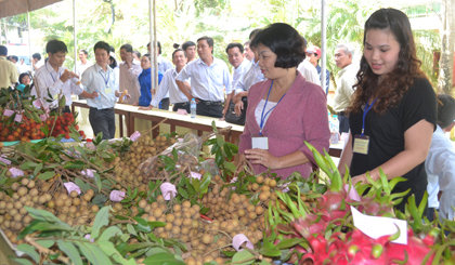 Nhiều sản phẩm đặc trưng của Tiền Giang sẽ được giới thiệu tại sự kiện lần này.
