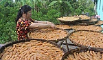 Mứt tết nhộn nhịp vào mùa