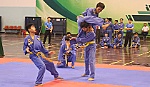 80 vận động viên tham dự môn Vovinam