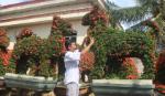 Kiểng hình thú 