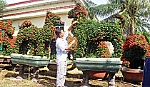 Thú chơi cây kiểng ngày tết