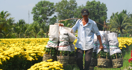 Gánh hoa.