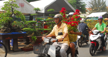Người dân chở hoa về nhà chưng tết.