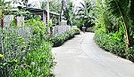 Phụ nữ  trong phong trào xây dựng nông thôn mới