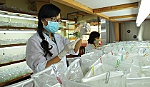 Bình đẳng giới và hình ảnh người phụ nữ hiện đại