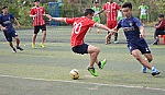 16 đội dự tranh 