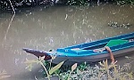 Tử vong do dùng xung điện đánh bắt cá