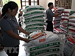 Vi phạm về lĩnh vực thức ăn chăn nuôi bị phạt đến 200 triệu đồng