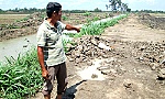 Đường sình lầy, thu hoạch lúa gặp khó khăn