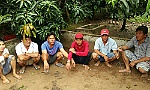 Triệt phá tụ điểm cờ bạc tại huyện Cái Bè