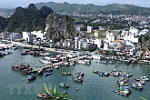 Đó là một Chính phủ biết lắng nghe.