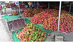 Cử tri đề nghị cần định hướng trồng cây gì, nuôi con gì phù hợp