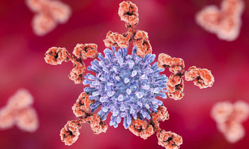 Vaccine chống HIV trên người sẽ được thử nghiệm sẽ bắt đầu vào đầu năm 2019.