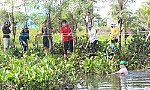 Tiếp tục ra quân trục vớt lục bình