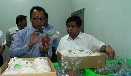 Thăm kho lạnh của HTX thanh long Mỹ Tịnh An.