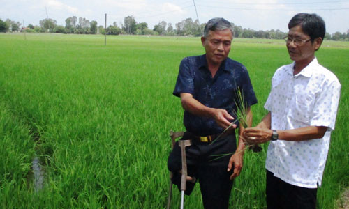 Ông Mãnh trao đổi kinh nghiệm sản xuất với cựu chiến binh địa phương.