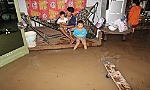 Sạt lở tiếp tục tấn công cù lao Tân Phong