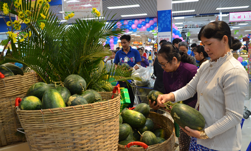 Co.opmart Cai Lậy đi vào hoạt động sẽ thúc đẩy thương mại, dịch vụ của Vùng kinh tế - đô thị  phía Tây của tỉnh phát triển.