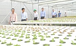 Hội Nông dân tỉnh Tiền Giang: Những 