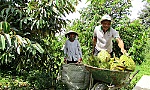 Cẩm Sơn hướng đến xã nông thôn mới kiểu mẫu