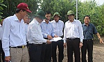 Tiền Giang: Thường trực UBND tỉnh khảo sát các khu đất công