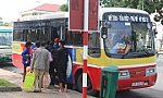 Xe Buýt công cộng: Cần tạo 