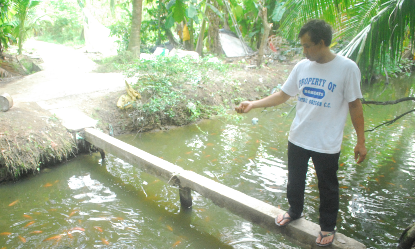 Anh Vinh đang cho cá ăn bằng trùn quế.