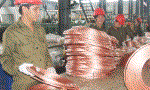 Câu chuyện xuất khẩu