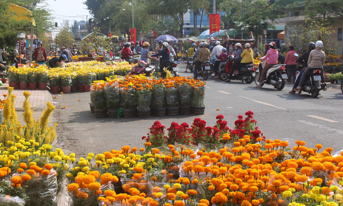 Chợ hoa Xuân Kỷ Hợi 2019 sẽ được tổ chức tại 2 địa điểm: Khu vực Công viên Lạc Hồng (phường 1) và Quảng trường Trung tâm tỉnh (xã Đạo Thạnh).                                                                       Ảnh: MINH THÀNH
