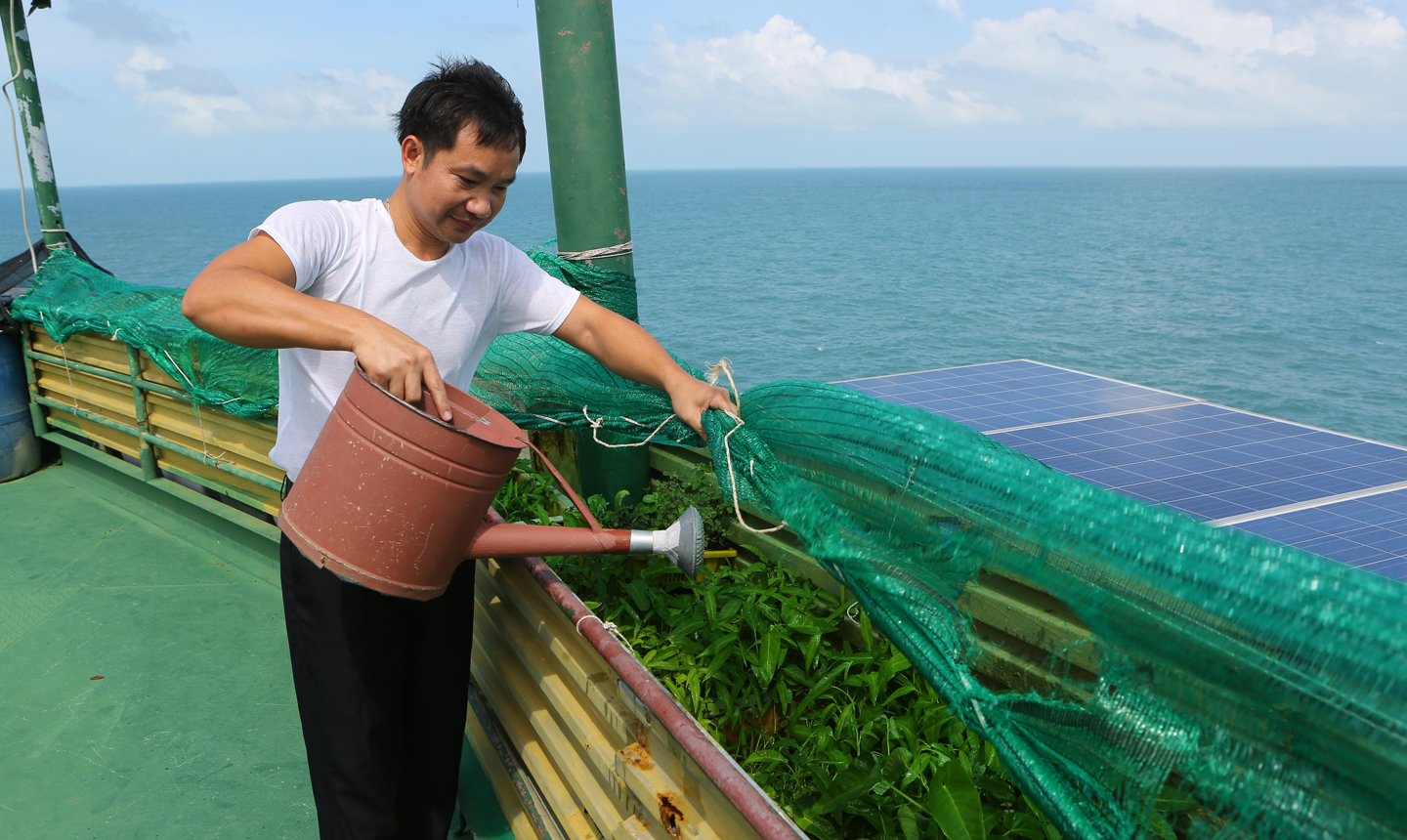 CB-CS nhà giàn tiết kiệm nước ngọt để chăm sóc rau xanh.