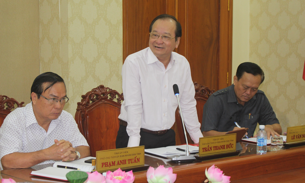 Phó Chủ tịch UBND tỉnh Trần Thanh Đức phát biểu tại phiên họp.
