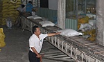 Gạo Vinh Hiển và câu chuyện xây dựng thương hiệu