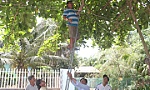 Xây dựng nông thôn mới: 