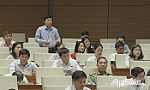Góp ý 8 nội dung vào dự án Luật Giáo dục (sửa đổi)