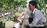 Tân Mỹ Chánh: Phấn đấu 