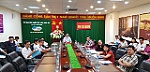 Phải chủ động công tác truyền thông để phòng dịch